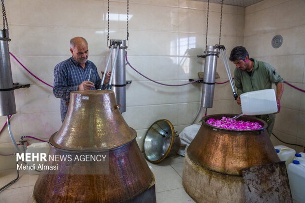 نمایشگاه گل و گلاب در بوستان باغ ایرانی برگزار می‌شود