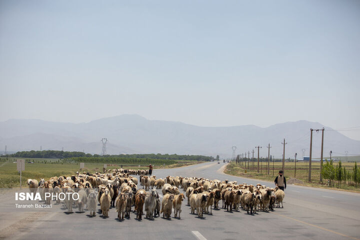 کوچ عشایر