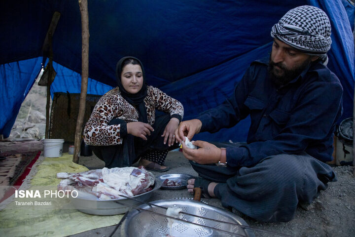 کوچ عشایر
