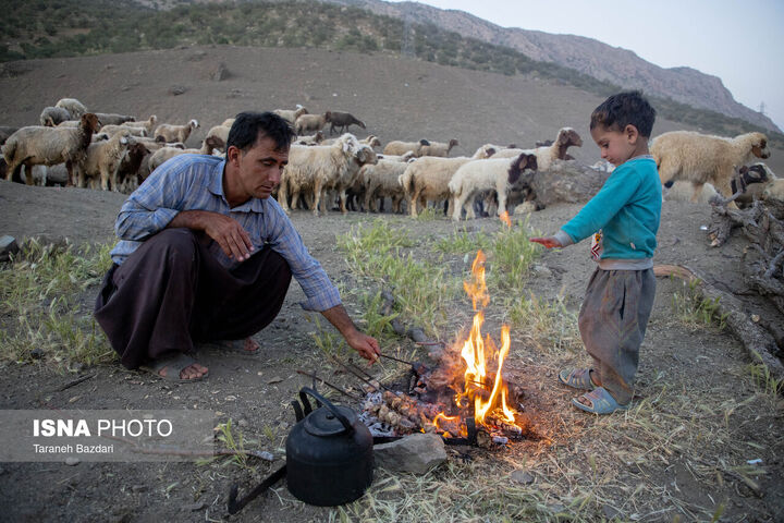 کوچ عشایر