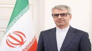 بقائی: باید گریبان طرف مقابل را برای اجرای تعهدات بگیریم