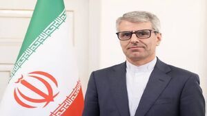 بقائی: باید گریبان طرف مقابل را برای اجرای تعهدات بگیریم