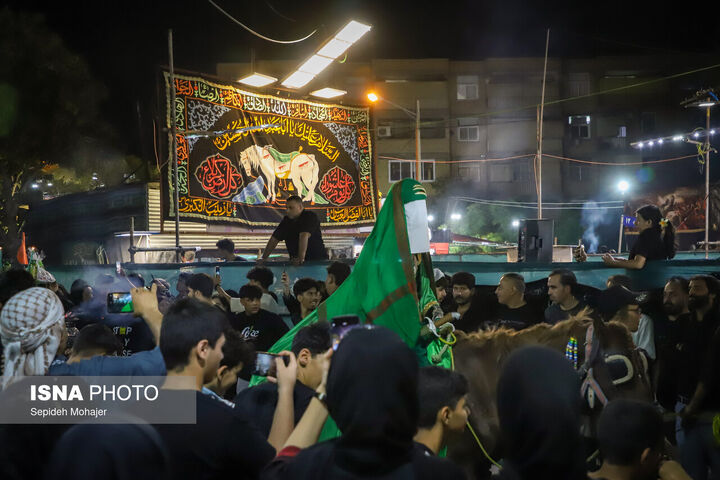 شهرک عرب ها