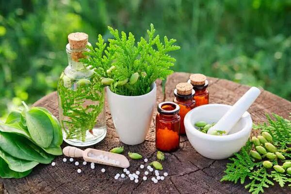 چرا نباید داروهای گیاهی را سرخود بخوریم؟