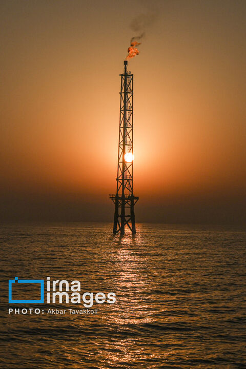 خلیج فارس