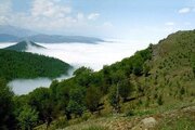 سند مدیریت پایدار جنگل‌های زاگرس نهایی شد