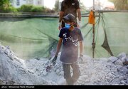داغ دنباله‌ دار مدرسه شجره طیبه میناب