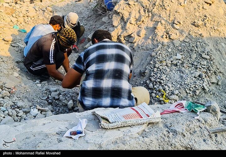 شجره طیبه