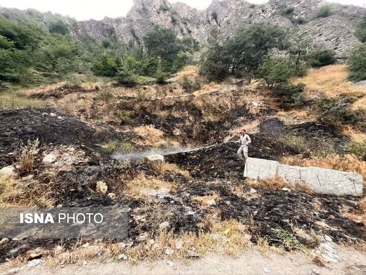 دستگیری عاملان آتش‌سوزی در عرصه‌های طبیعی استان فارس