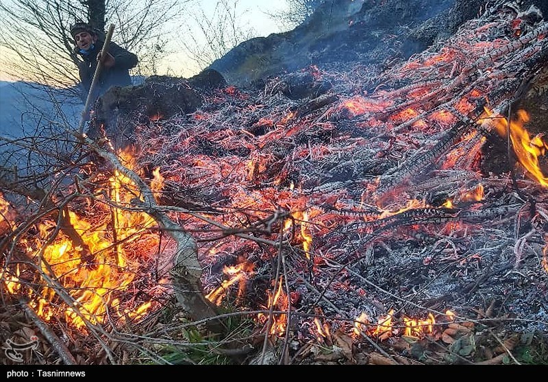 هشدار نارنجی آتشسوزی در جنگلهای هیرکانی/فاجعه با یک تهسیگار!
