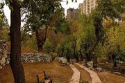 پیشرفت ۹۵ درصدی فاز دوم پروژه احیای روددره فرحزاد