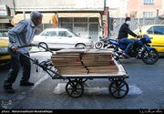 کاغذ دوباره سوار بر هیجانات بازار شد