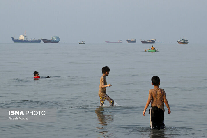 واکنش هنرمندان به حملات دشمن به جنوب کشور؛ از معتمدآریا تا پرستویی