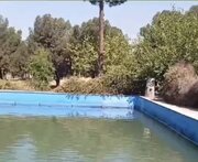 احیای چاه شقایق پس از ۸ سال