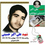 مادر شهید حسینی به فرزند شهیدش پیوست