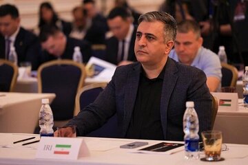 دبیر فدراسیون کشتی منصوب شد