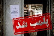کافه‌های متعلق به ساعدی نیا رفع پلمب نشده‌اند
