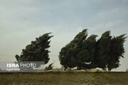 هشدار نسبت به وقوع تندباد در تهران