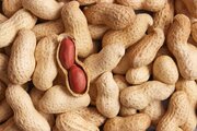 درمانی عجیب برای حساسیت غذایی با نتیجه شگفت‌آور