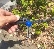 بهسازی شبکه آبیاری محور ثانی در منطقه ۸