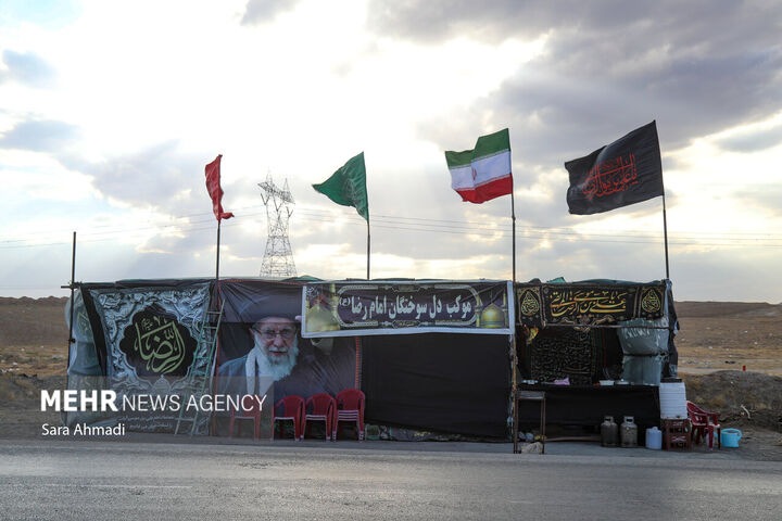 زائران رضوی