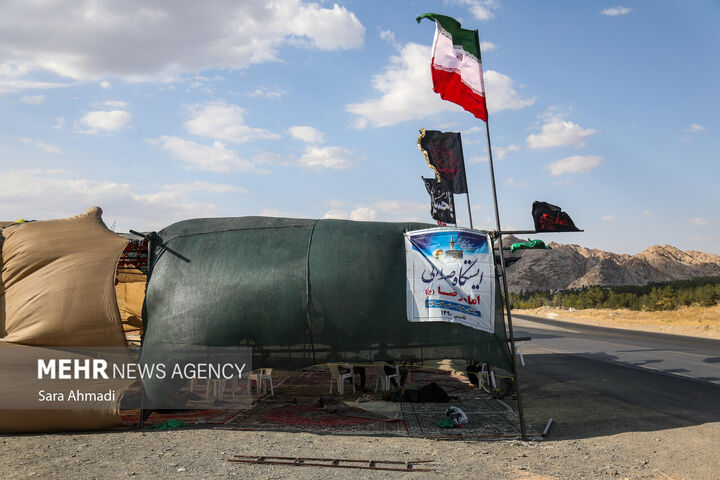 زائران رضوی