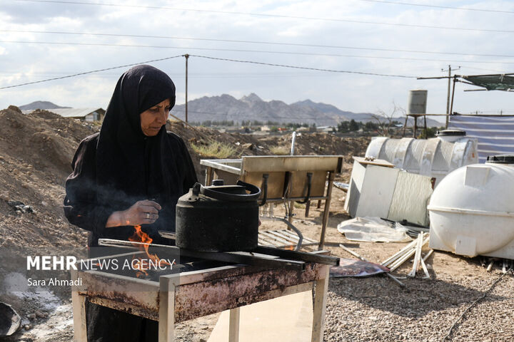 زائران رضوی