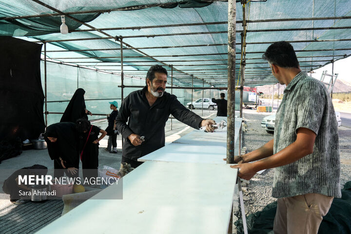زائران رضوی