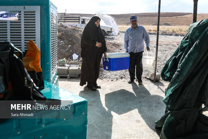 زائران رضوی
