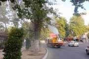 عملیات تخصصی شهرداری منطقه یک برای صیانت از چنارهای میدان تجریش