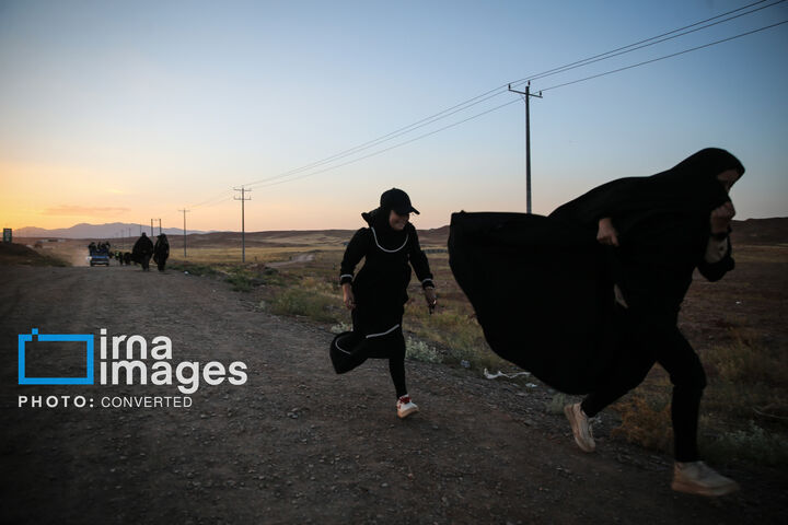 زائر پیاده