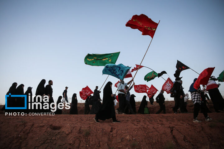 زائر پیاده