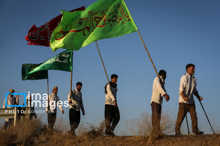 زائر پیاده