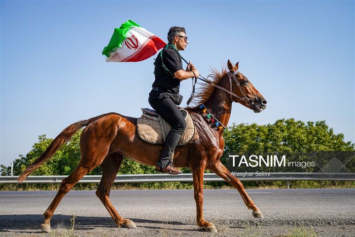 اسب سوار