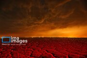 دریاچه نمک حاج علیقلی