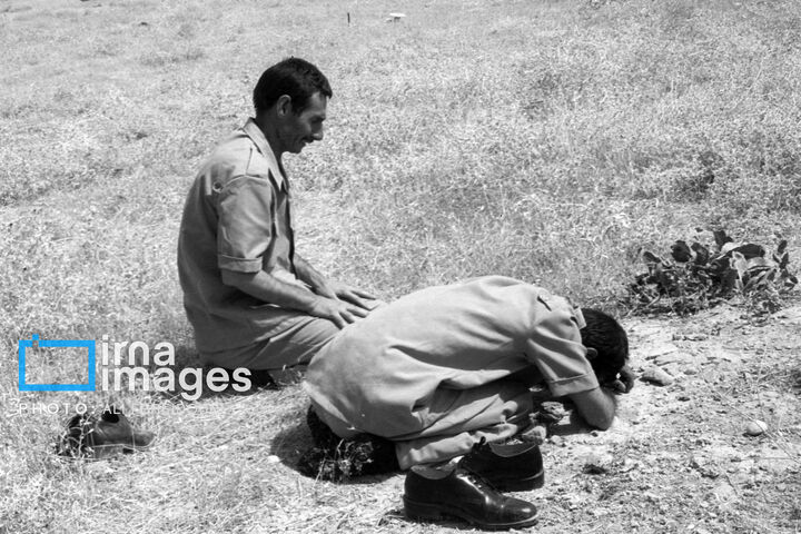 ازادگان1
