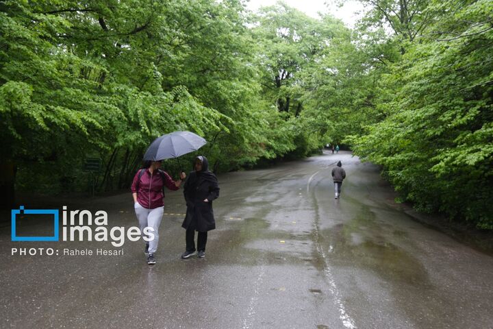 بارش‌های خوبی در سطح کشور از نیمه آبان ماه پیش بینی می شود