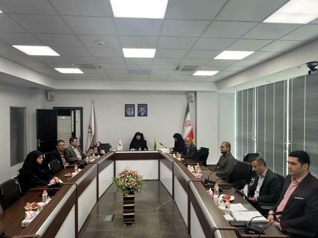 نشست شورای عالی «طرح تحولی مدیریت مورد» در بنیاد شهید برگزار شد