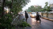 بادهای تند در راه ۱۲ استان کشور