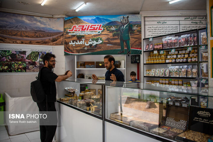 انجیر استهبان