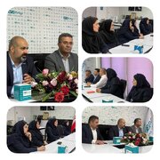 بررسی چالش‌ها و موانع کاری شعبه بیمه دی استان کرمانشاه 