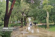 رگبار باران در استان‌های شمالی