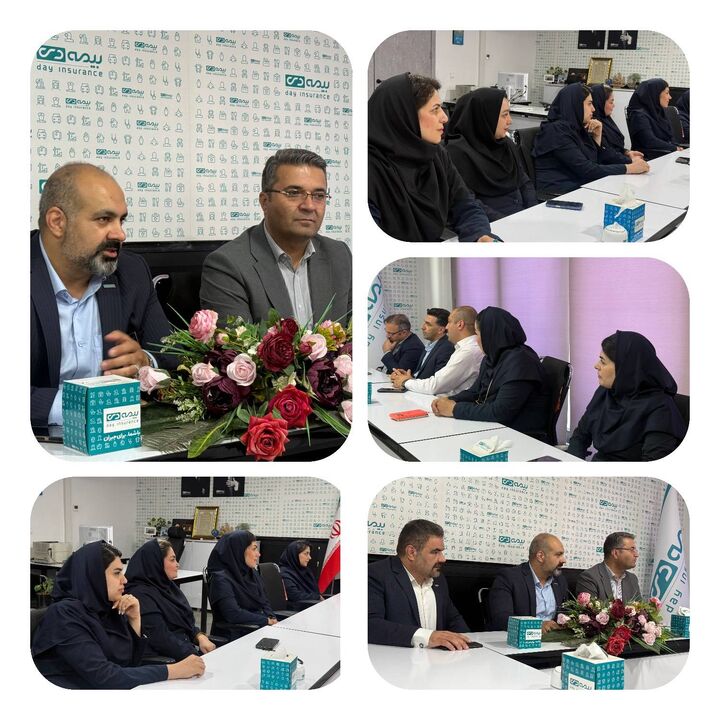 بررسی چالش‌ها و موانع کاری شعبه بیمه دی استان کرمانشاه 