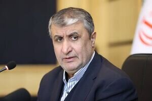 رئیس سازمان انرژی اتمی عازم وین شد