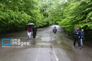 رگبار باران و رعدوبرق در ۱۱ استان
