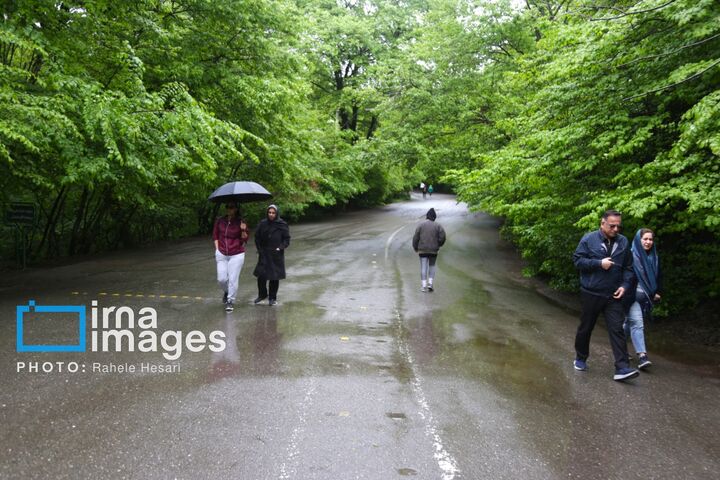 رگبار باران و رعدوبرق در ۱۱ استان