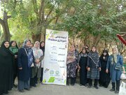 رقابت‌های خلاقانه سالمندی؛ هزاربانوی سالمند منطقه ۱۴ در میدان نشاط و تندرستی