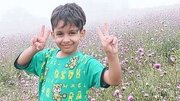 اسامی شهدای حمله آمریکا به مراسم عروسی در سیریک