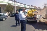 ساماندهی و جمع‌آوری خودروهای اسقاطی و وانت‌بارهای فروشنده آغاز شد