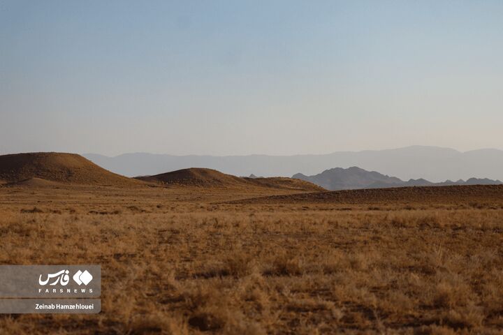 زیست بوم